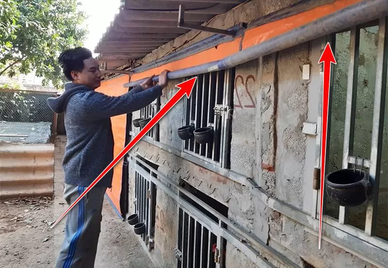 Che chắn chuồng trại cho gà vào mùa đông