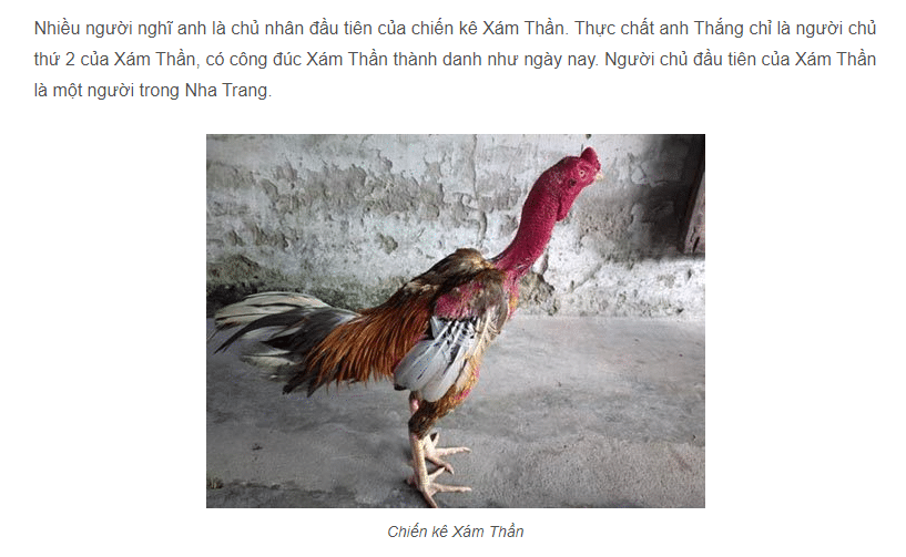 Linh kê xám thần nổi tiếng 1 thời