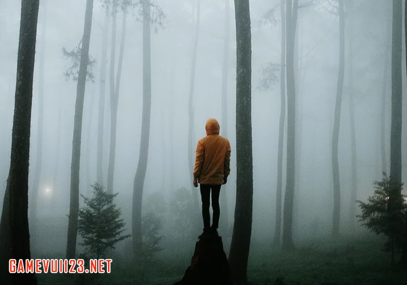 Giải mã nằm mơ đi lạc đường đầy đủ nhất